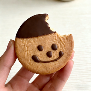 Cream Filled Cake,Chocolate Flavor,Super Moist & Velvety Mini Cakes with Rich Cocoa,15.74oz