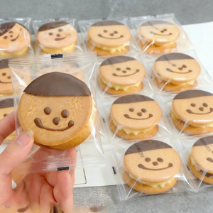 Cream Filled Cake,Chocolate Flavor,Super Moist & Velvety Mini Cakes with Rich Cocoa,15.74oz