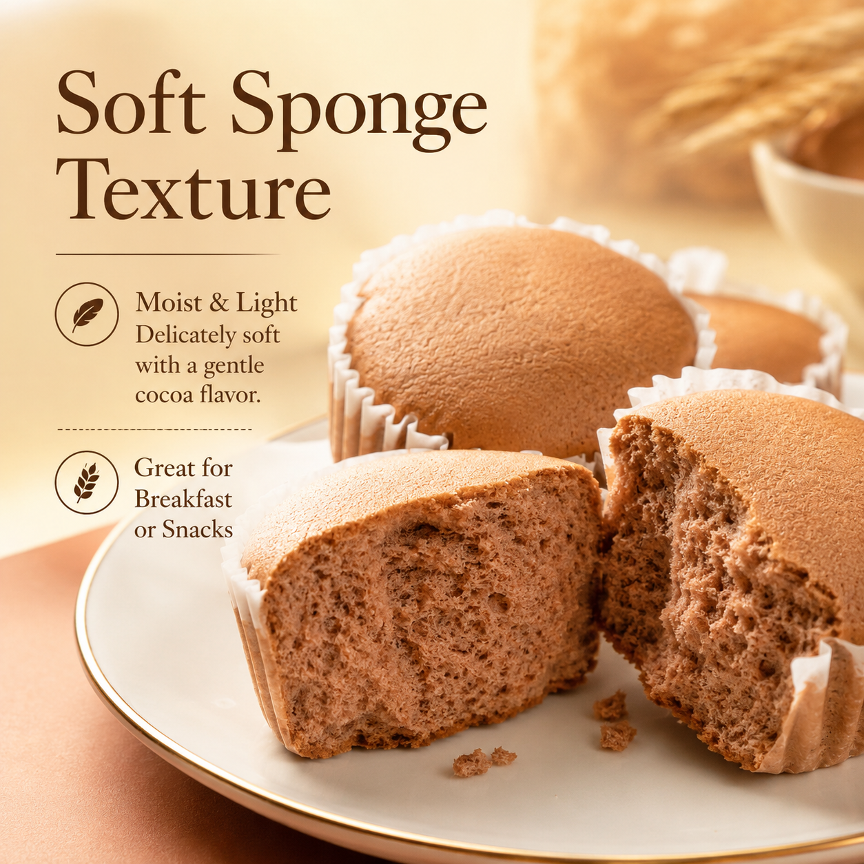11.32oz/1bag(Includes 6 packages) Chocolate Flavored Water Milk Cake,Luxurious Cake Made with Rich Water Buffalo Milk & Cocoa, Incredibly Moist & Smooth, Indulgent Gourmet Dessert